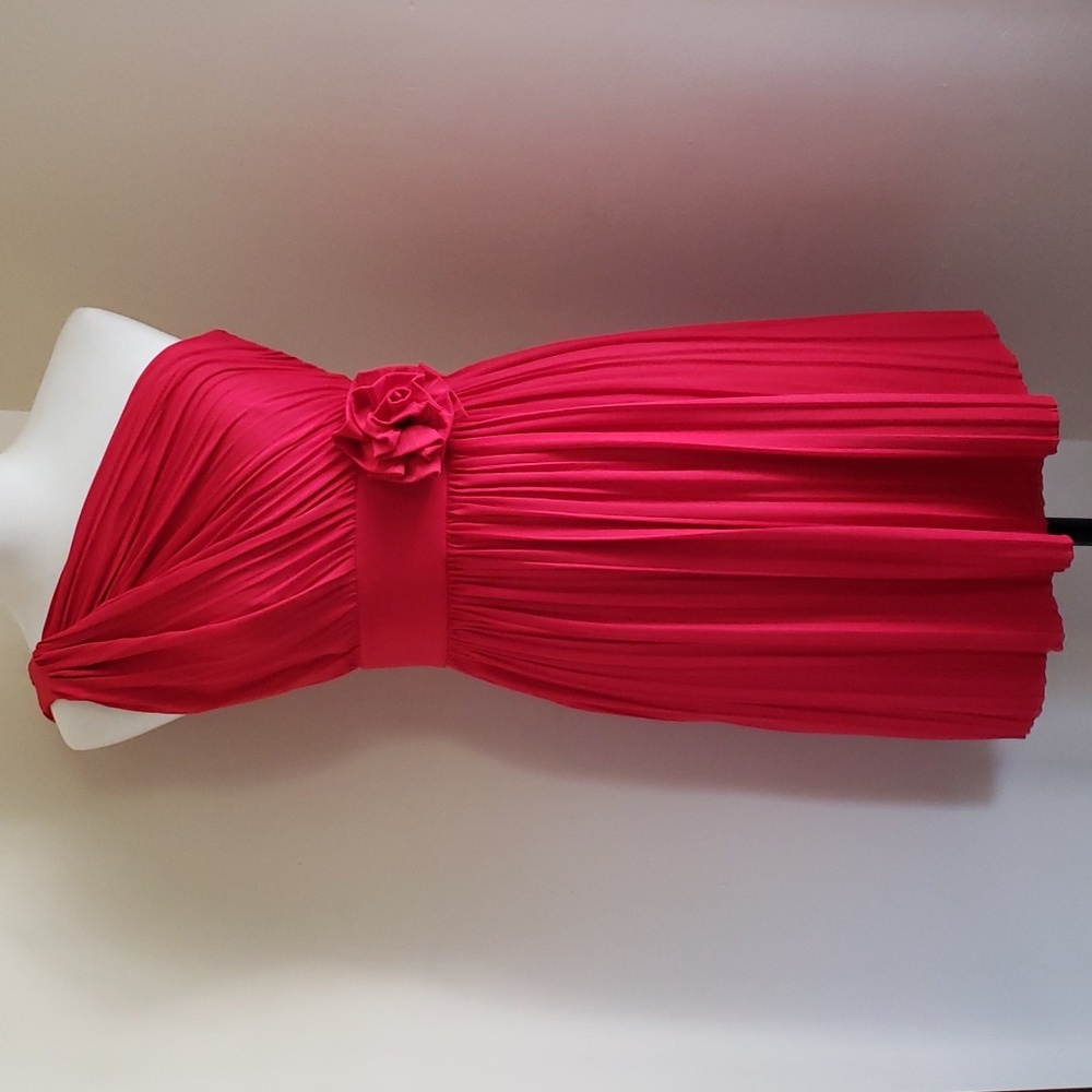 Pleated Rose Detail Dress